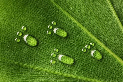 Sustainability At Office – Water Footprint