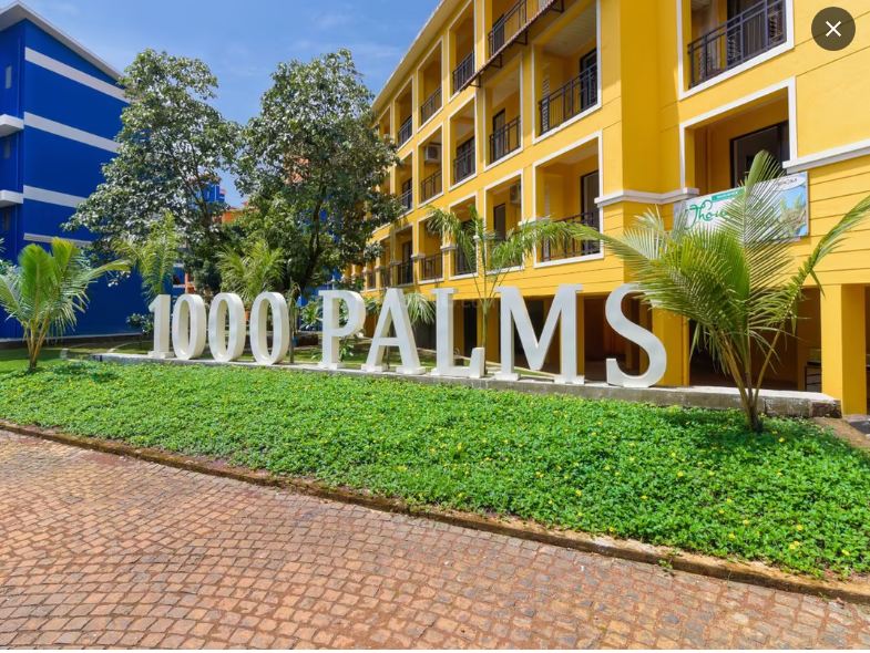 1000 Palm Goa